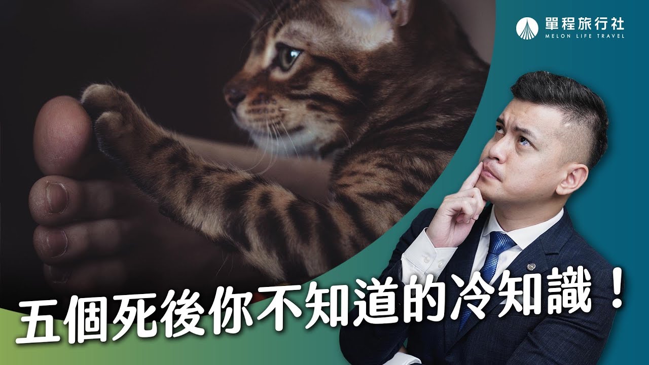 死後頭髮還會繼續長長嗎？還能捐血嗎？五個死後你所不知道的冷知識！《死後，貓會吃掉我的眼睛嗎？》【單程旅行社】