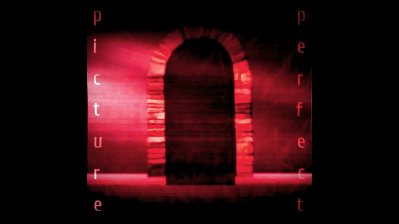 PICTURE PERFECT - Skelemixed