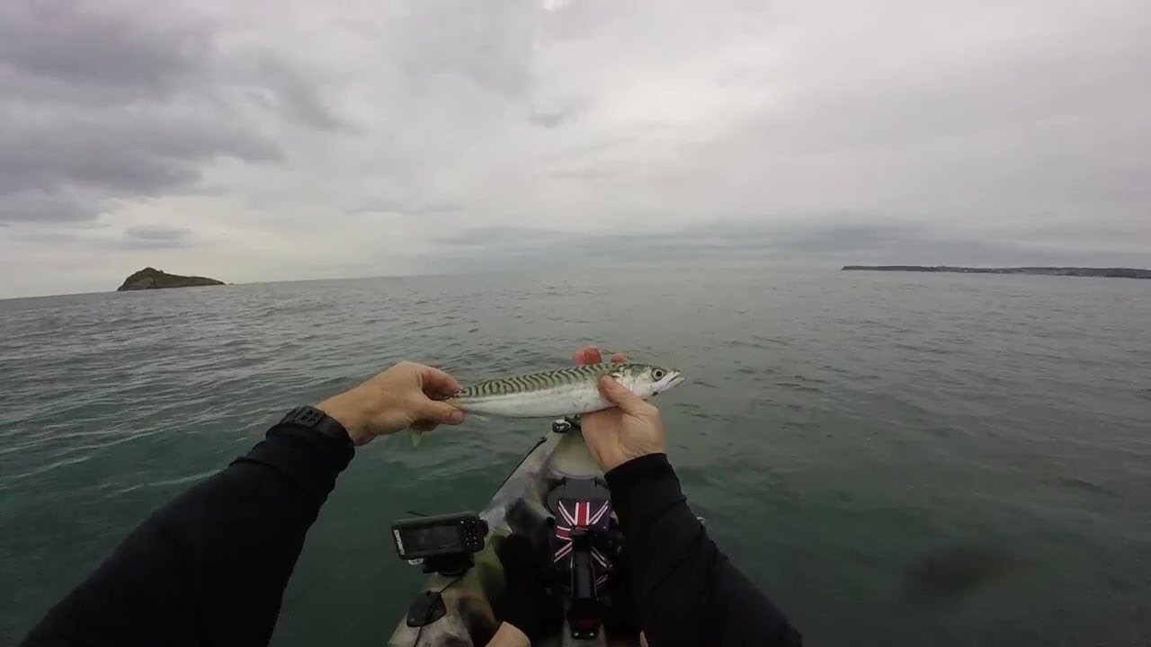 Kayak fishing at Meadfoot beach Torquay Devon UK, with my first Mackerel of the season, Galaxy Cruz