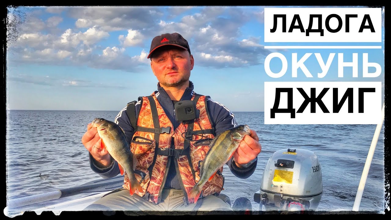 Ладога,Дубно.Ловля окуня.Сентябрь 2020