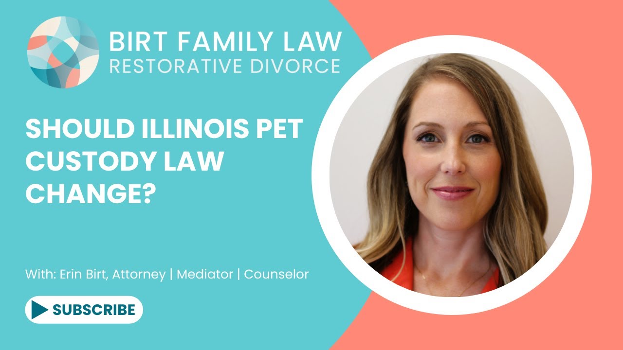 Should Illinois Pet Custody Law Change?