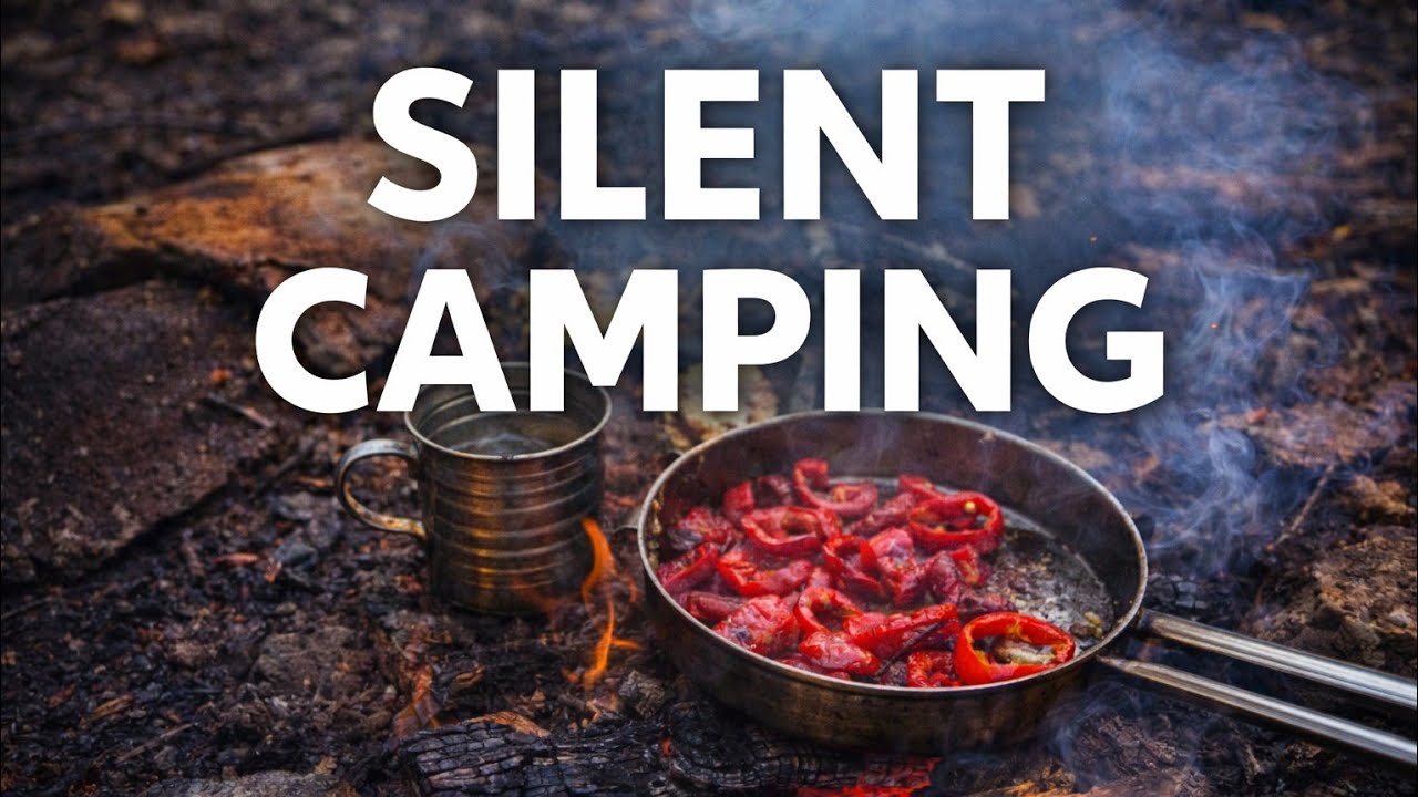 Solo Camping in the Silent Woods | Calm Forest Experience
