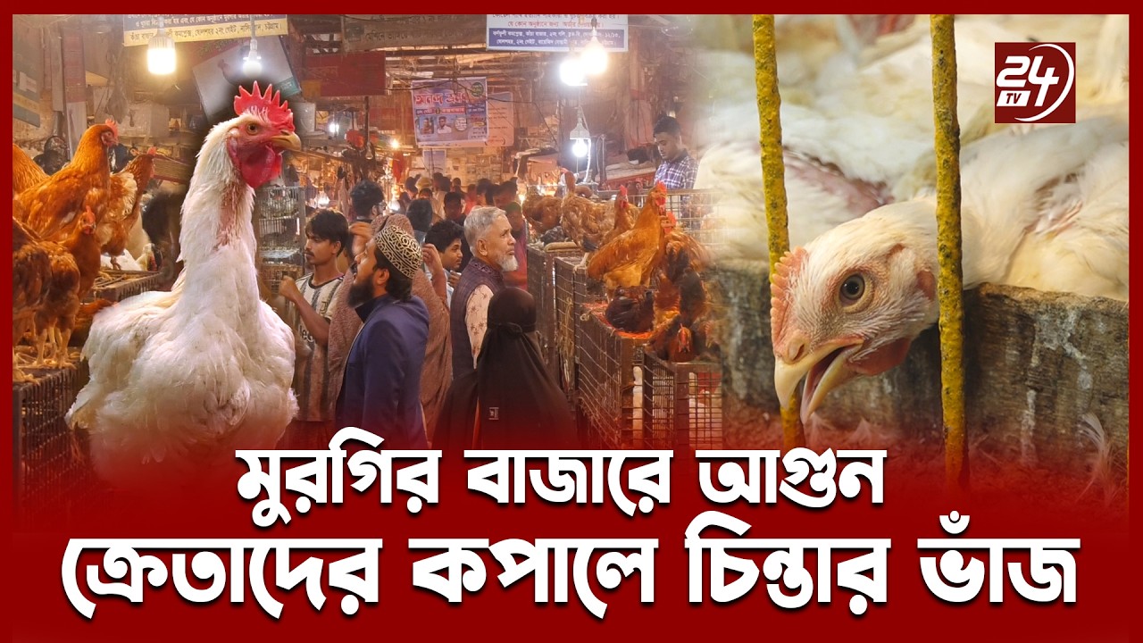 রমজানকে সামনে রেখে চট্টগ্রামে মুরগির বাজারে আগুন, ক্রেতাদের কপালে চিন্তার ভাঁজ | 24TV