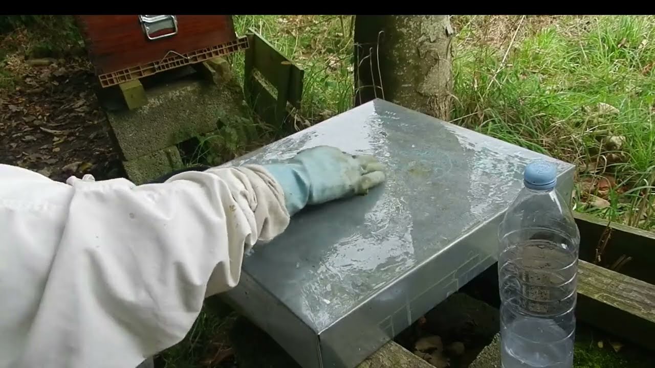 Cours d'apiculture automne hivernage lanière comment resserrer ses colonies d'abeilles