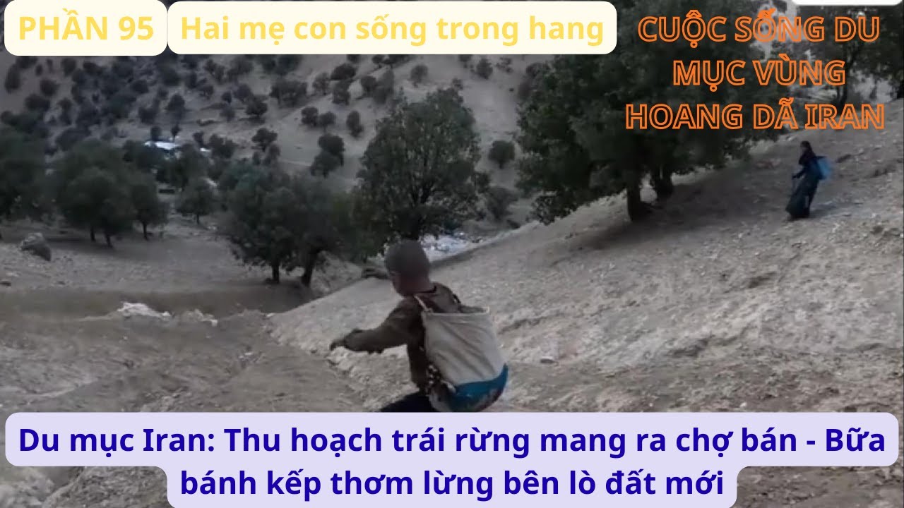 Du mục Iran: P95 Thu hoạch trái rừng mang ra chợ bán - Bữa bánh kếp thơm lừng bên lò đất mới