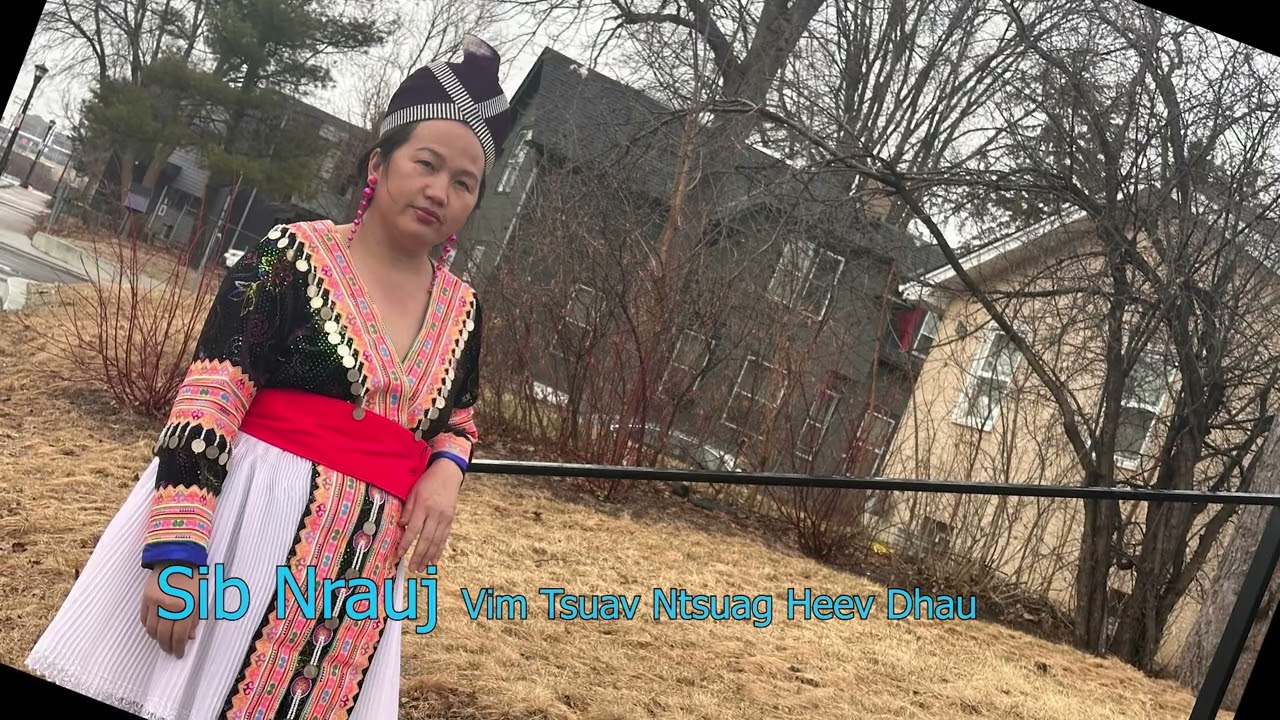 Sib Nrauj Vim Tsuav Ntsuag Heev Dhau  4/1/2025