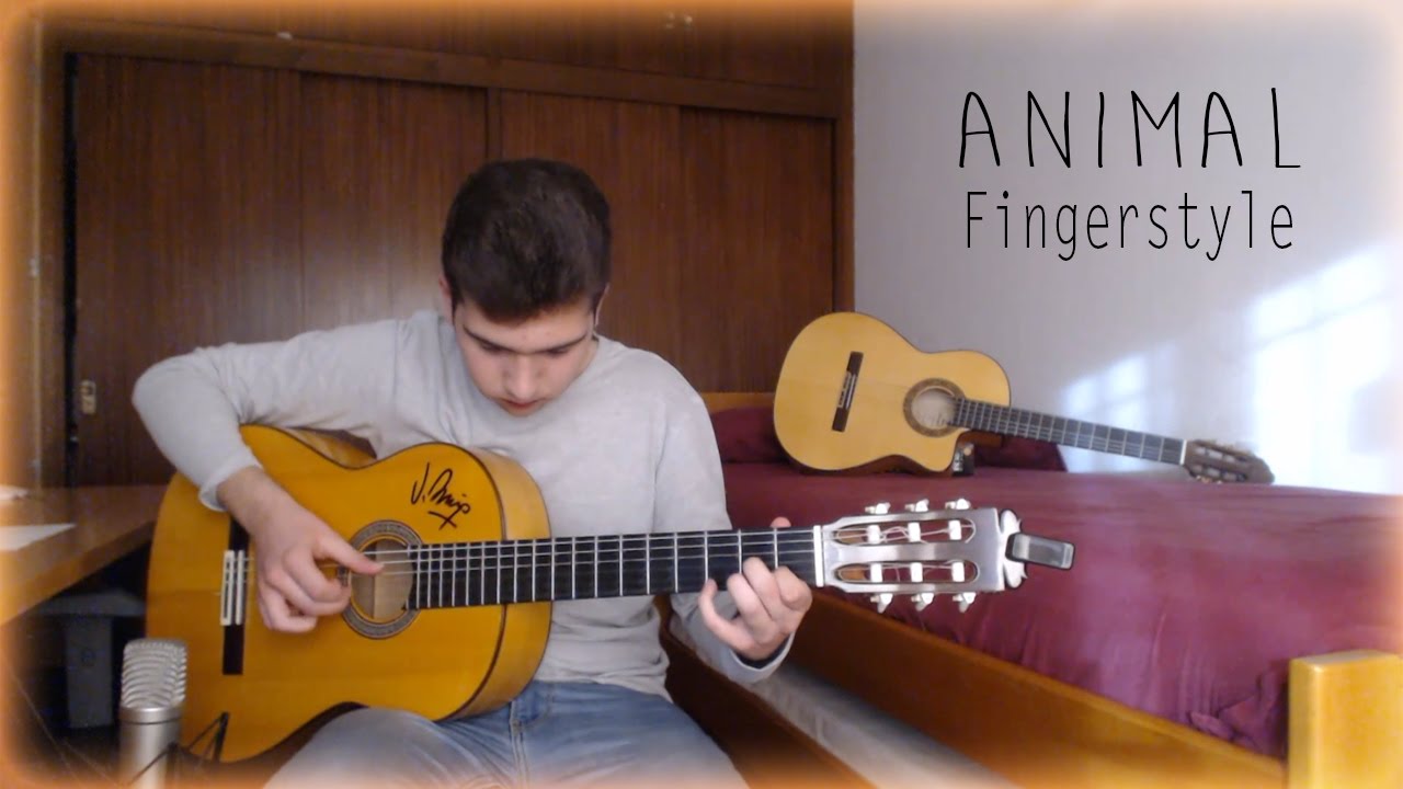 Animal - Alvaro Soler - Cover Guitarra