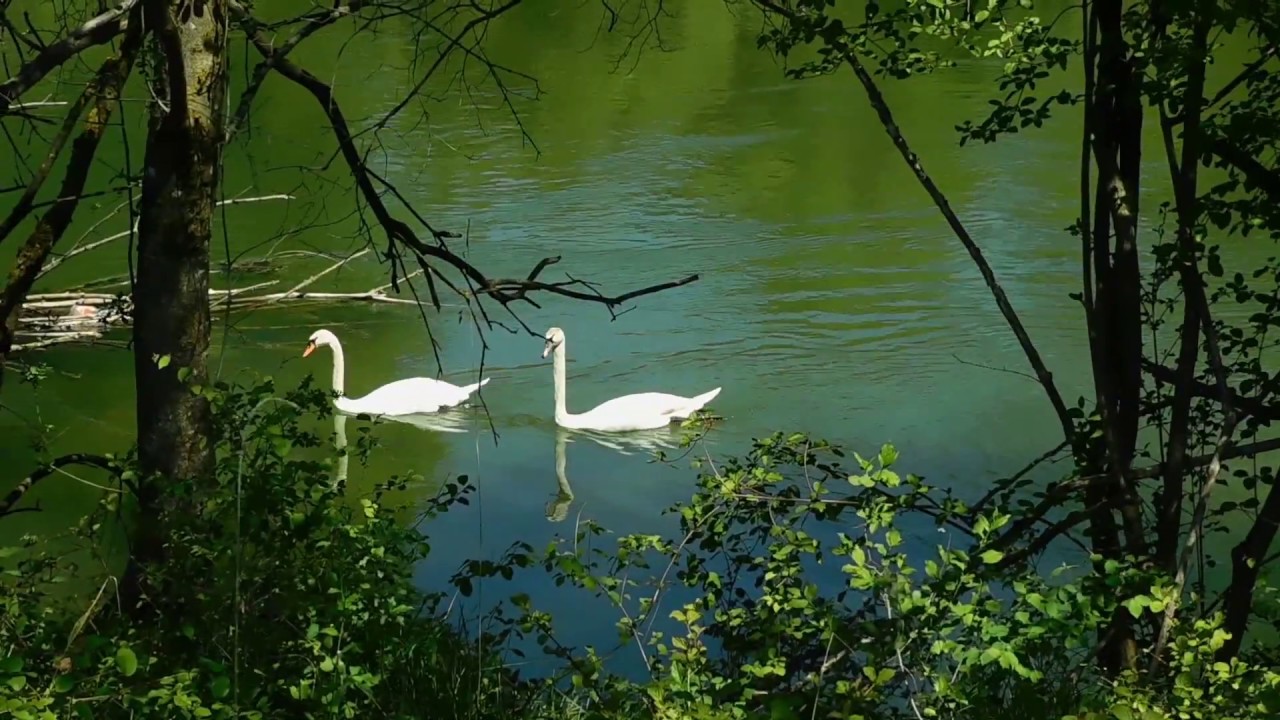 Walking and cycling - Absolute fantastic Mangfall river between Bad Aibling and Rosenheim