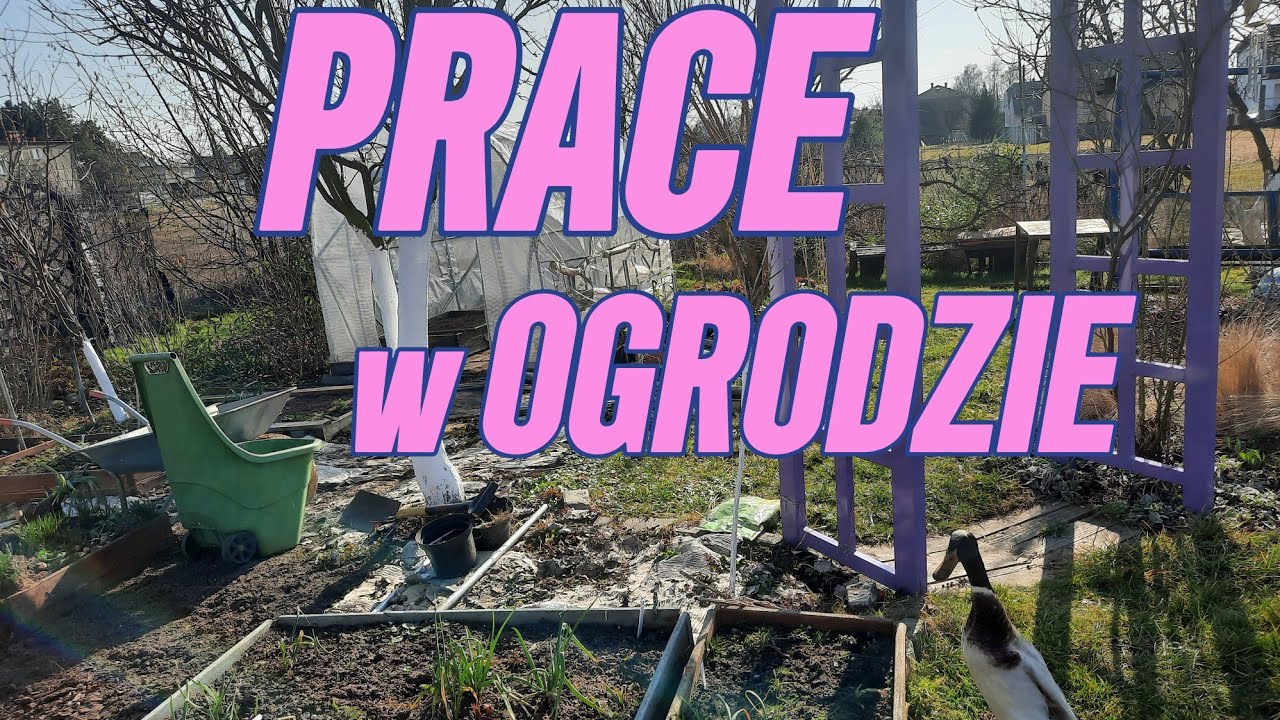 PRACE W OGRODZIE I PORZĄDKI PO ZIMIE .