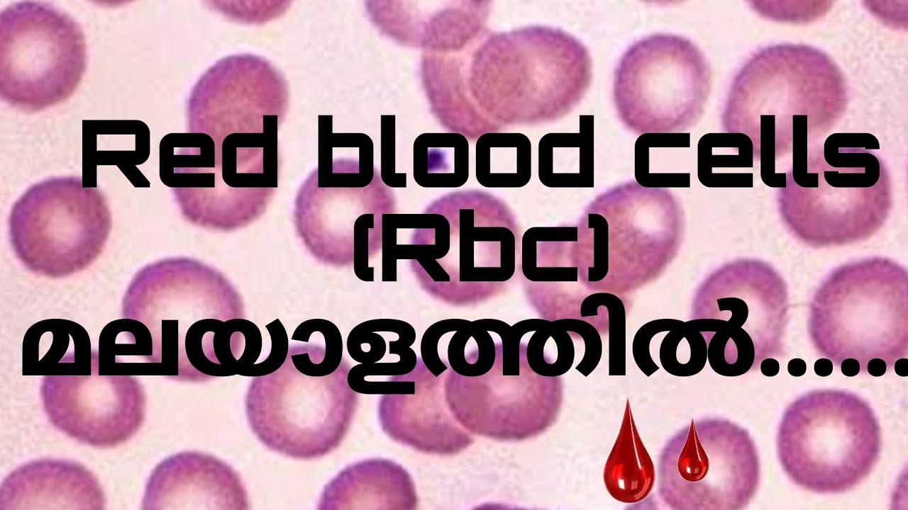 Red blood cells malayalam/haematology/Laboratory Tutour