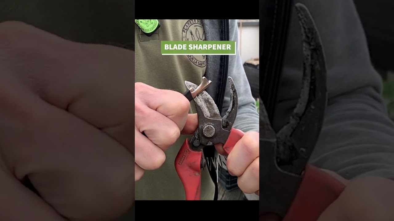 ✂️⚡ How to Sharpen a Pruner in 5 Seconds &ndash; Make you Life Easier!