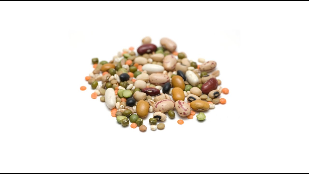 Baklagiller - Legumes