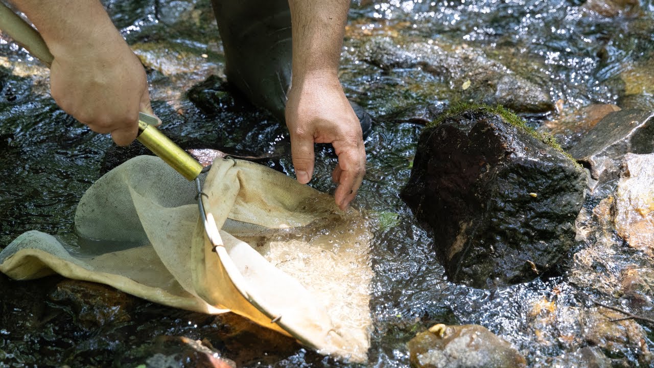Stroud Water Center Research: Freshwater Research