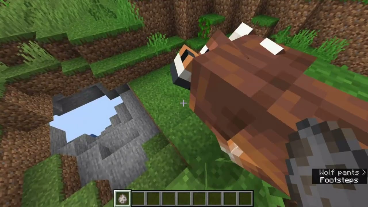 The NEW Minecraft Wolf Variants!