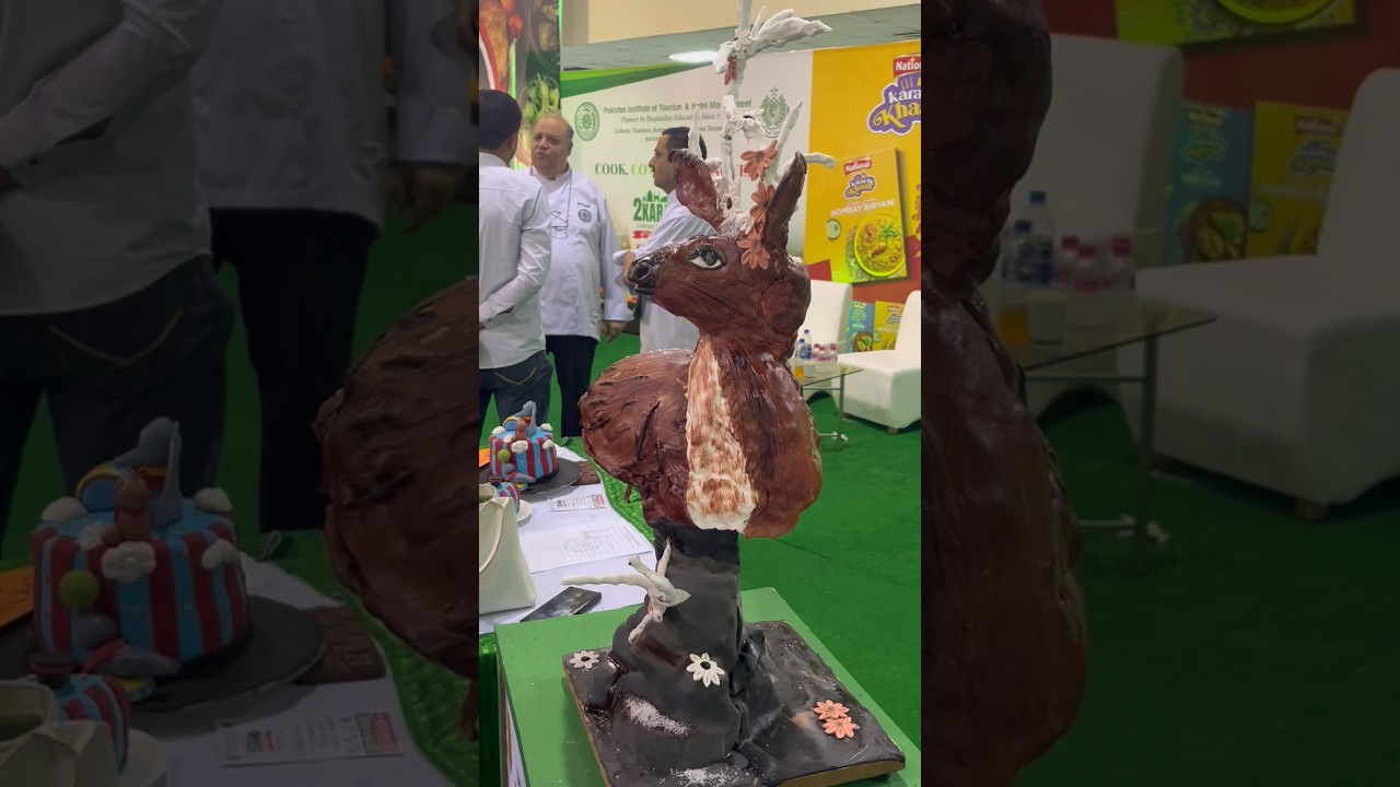 Expo centre karachi📍Competition #trend #viralvideo