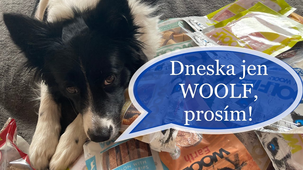 VLOG: nákup psích pamlsků WOOLF - na co které používáme?