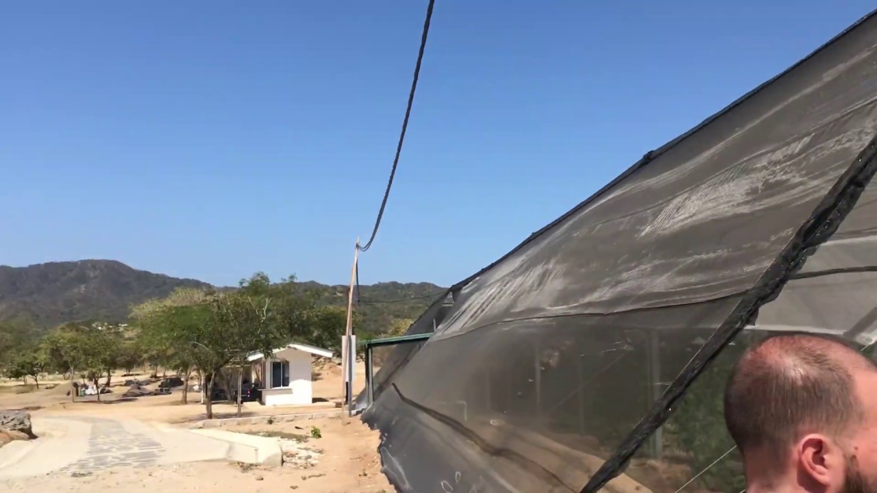 Cultivo de Cannabis en Colombia