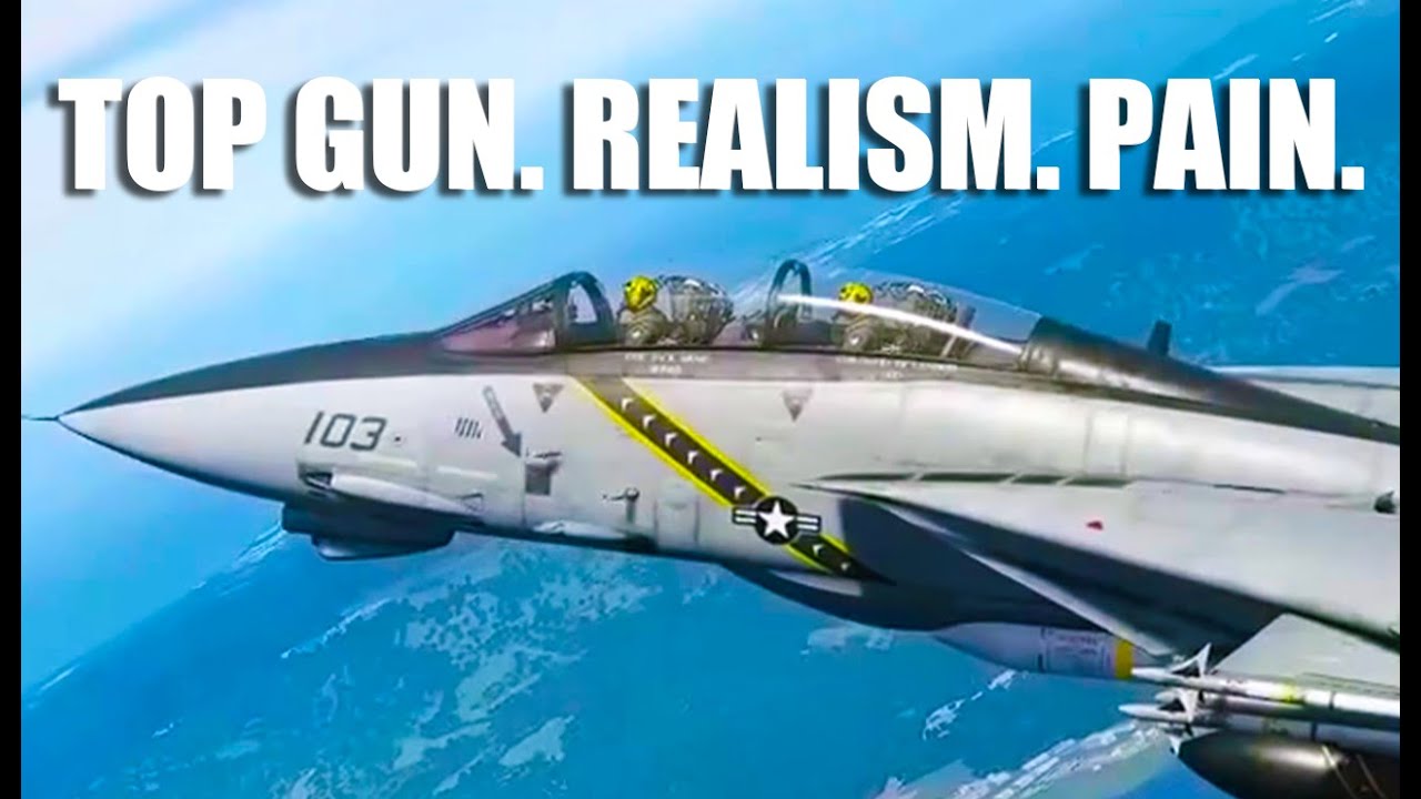 От Top Gun до DCS: как Heatblur превзошёл F-14 #dcs #tomcat