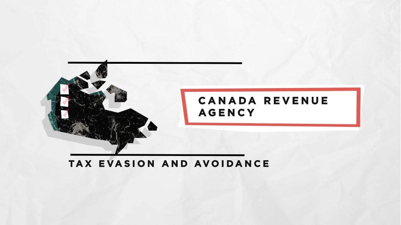 Tax evasion and avoidance