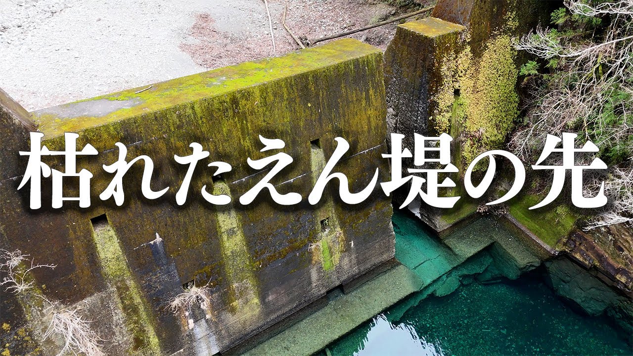【渓流釣り】和歌山県 古座川町【七川】 枯れた川で釣れるのか調査してきた　vol.4