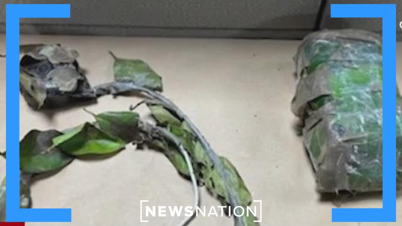 Burglary tourists use hidden cameras to plan thefts | NewsNation Now