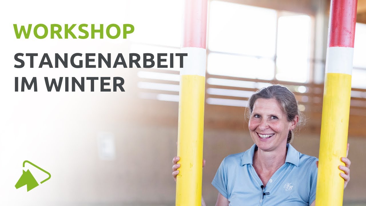 Live Workshop Stangenarbeit mit Claudia Butry: 4 &Uuml;bungen f&uuml;r Zuhause