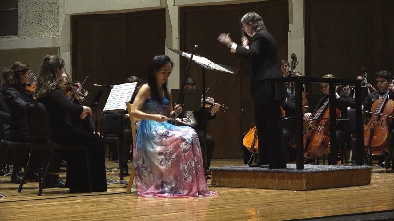 Butterfly Lovers Concerto (梁祝) -- excerpt