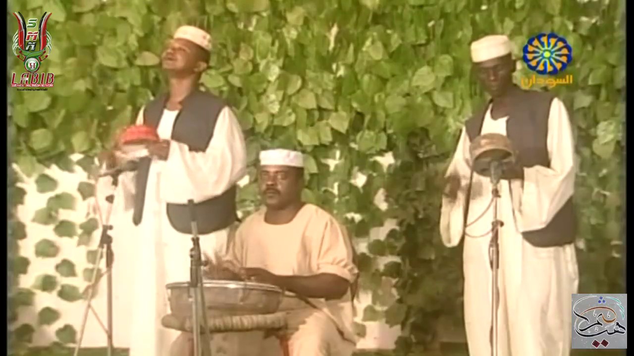 أسد الهوج الرزام ● عمر الحواري 