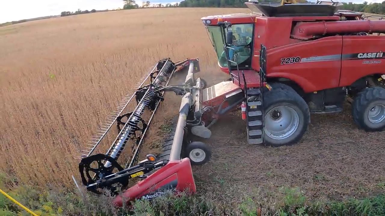 Rough Start - Stop & Go - Case IH 7230 Axial-Flow Combine - MacDon FD75 FlexDraper® - Soybeans - 4K
