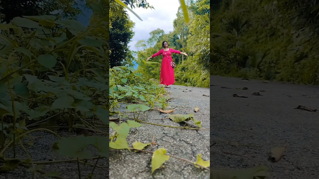 Exploring Gorubathan| A Hidden Gem #gorubathan#ilovegorubathan #gorubathanbeauty #shorts #ytshorts