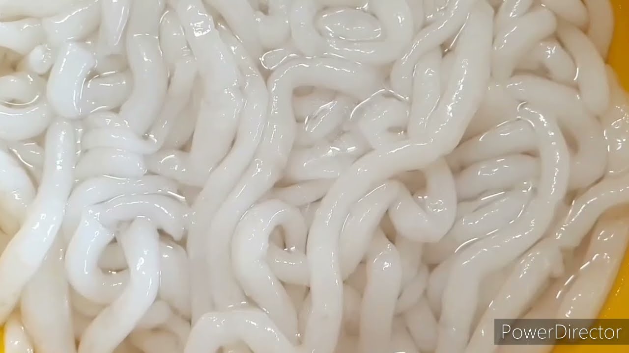 BANH CANH TỪ CƠM NGUỘI, Siêu nhanh và dễ, không cần cán bột, không cần khuôn.