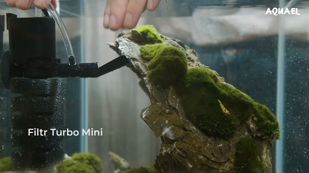 Aquael Shrimp Set - Piękny w każdym świetle