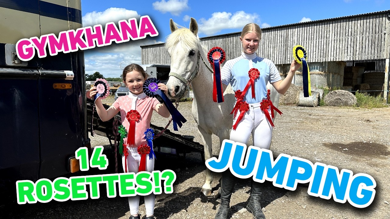 GYMKHANA WITH CHERRY + MOUSE - WE WON 14 ROSETTES!?