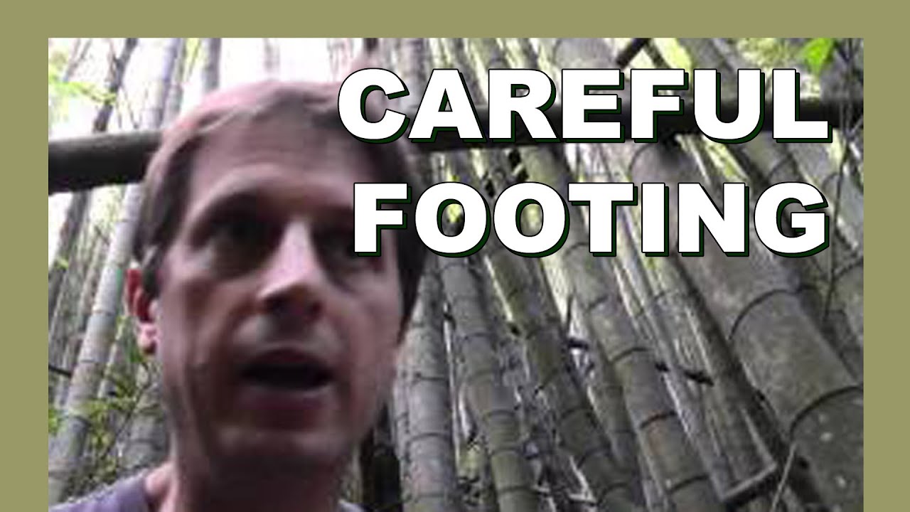 ✨ Careful footing - Life Stories - LylesBrother