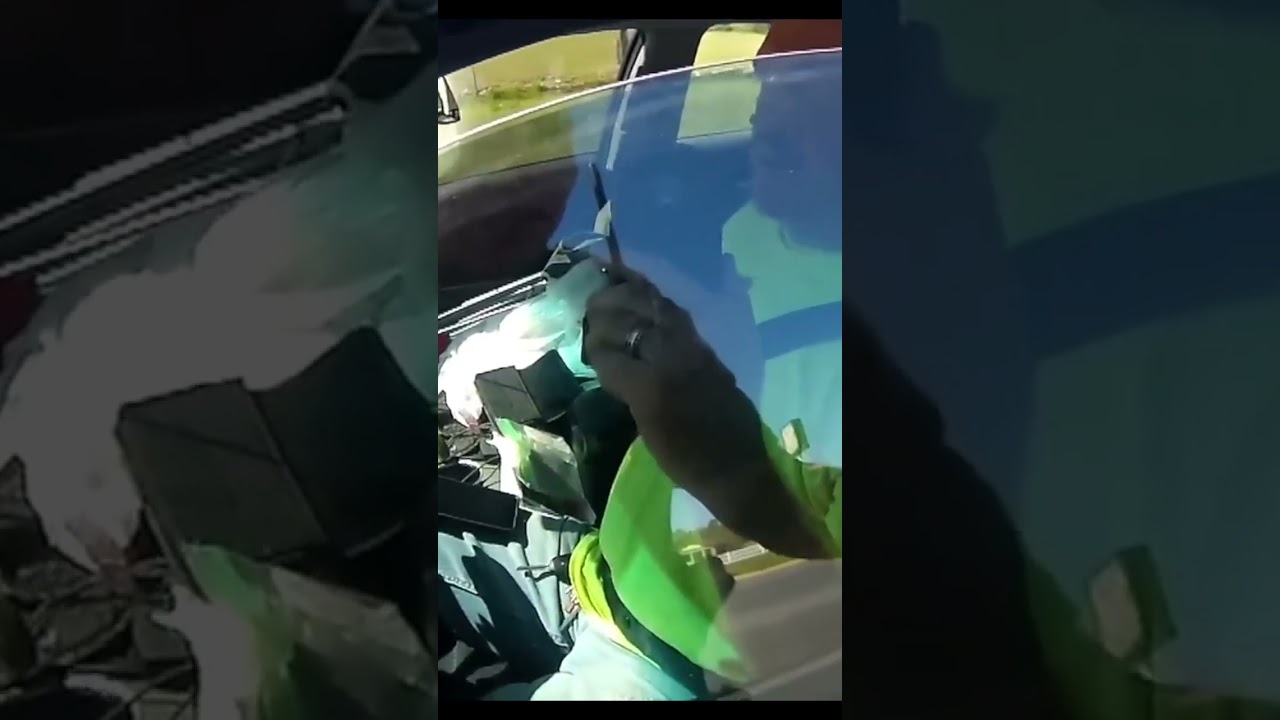 &laquo;Суверенный гражданин&raquo; усваивает суровый урок: коп разбивает окно