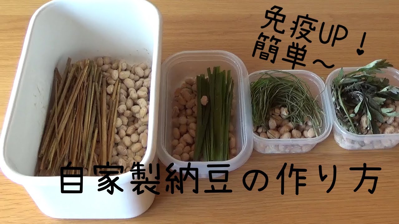 【自家製納豆の作り方】わら、まこも、すぎな、よもぎで4種類の納豆を作ってみました