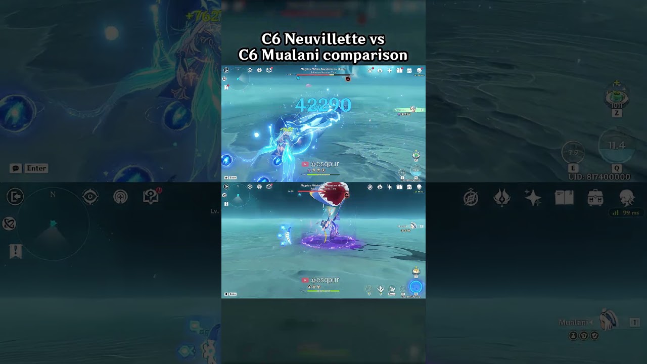 C6 NEUVILLETTE VS C6 MUALANI COMPARISON