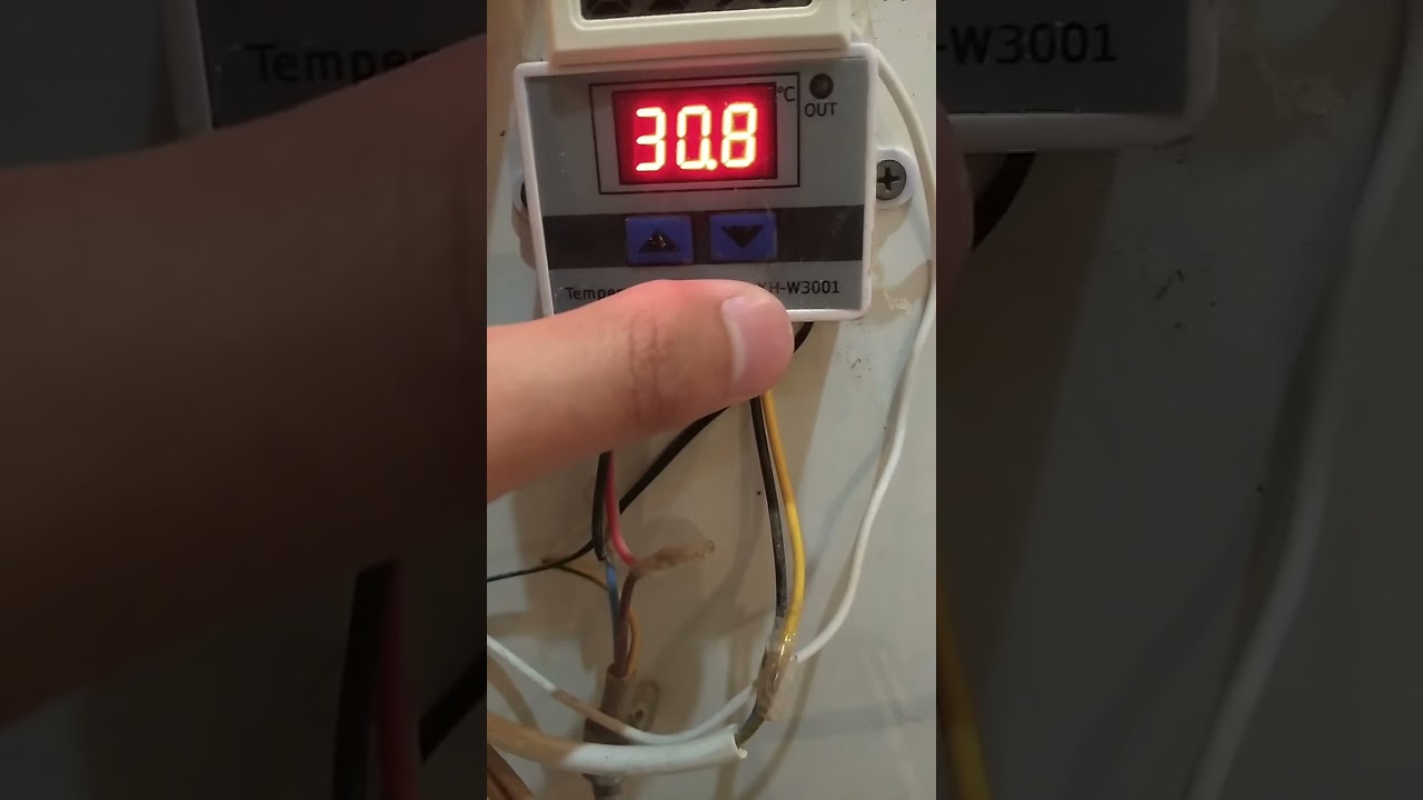 İnkubatorda termostatın tenzimlenmesi