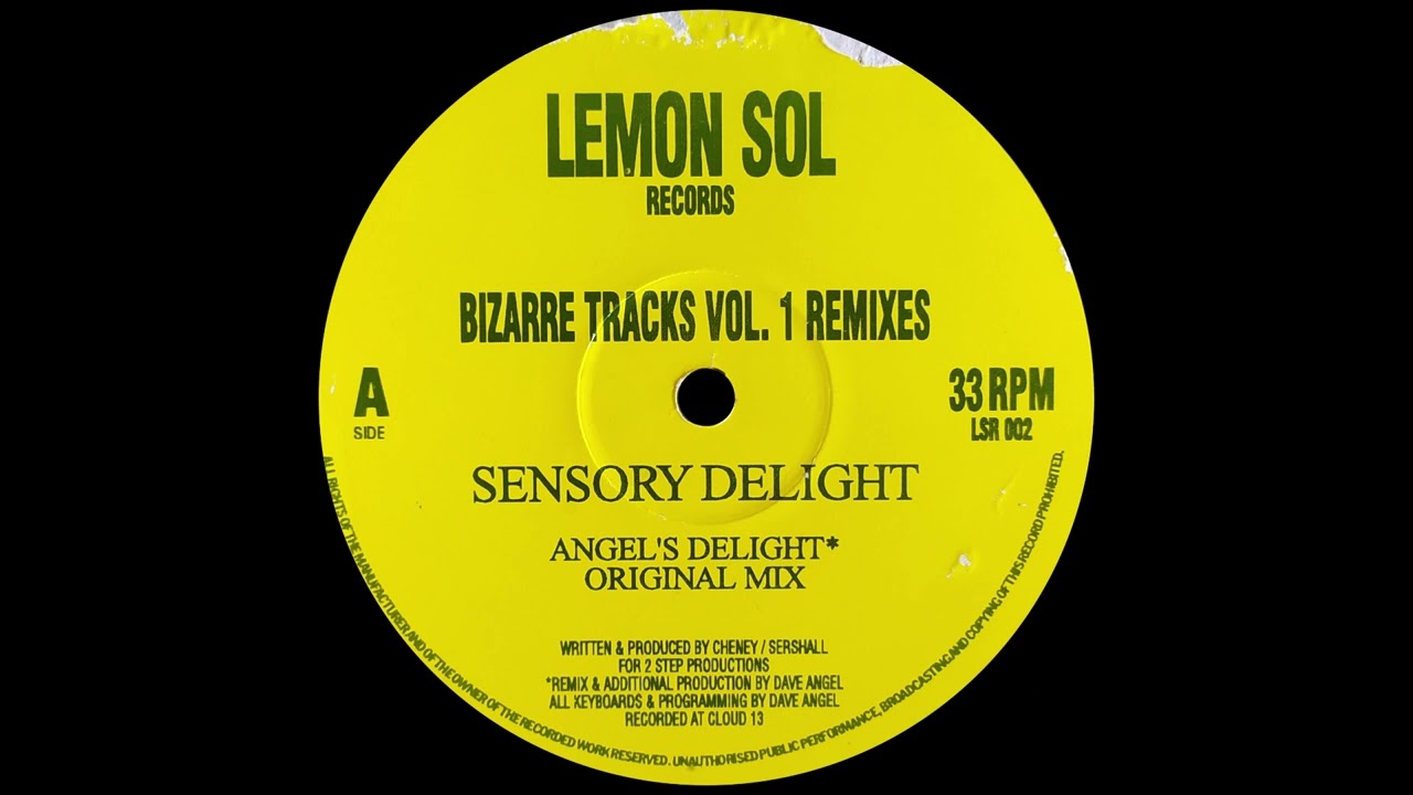 Bizarre Tracks - Sensory Delight (Angel's Delight Mix)
