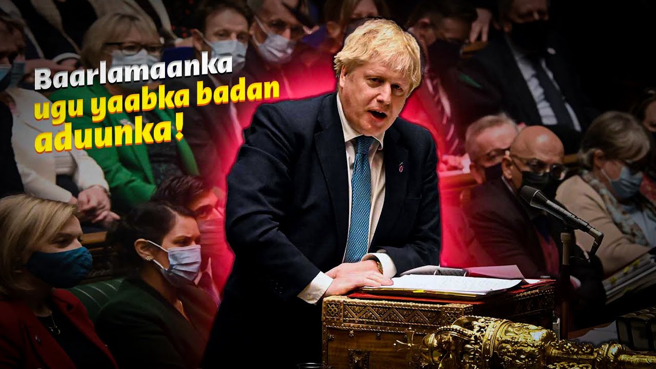 Qawaaniinta ugu yaabka badan baarlamaanka Ingiriiska | Waxay ku codeeyaan qaylo, sanad walbana ...!