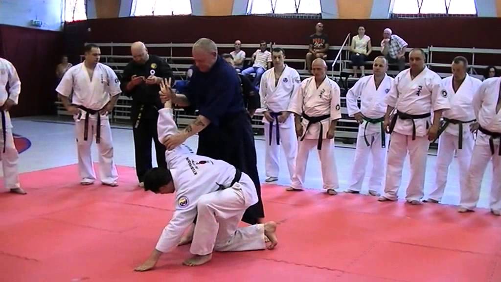 JU JUTSU ROMANIA- SEMINAR INTERNATIONAL 2015