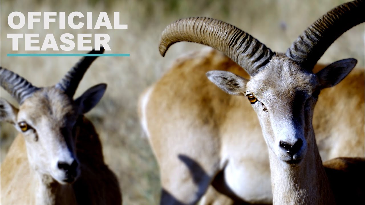 Official Teaser | Anatolia Ancient Nature [ENG]