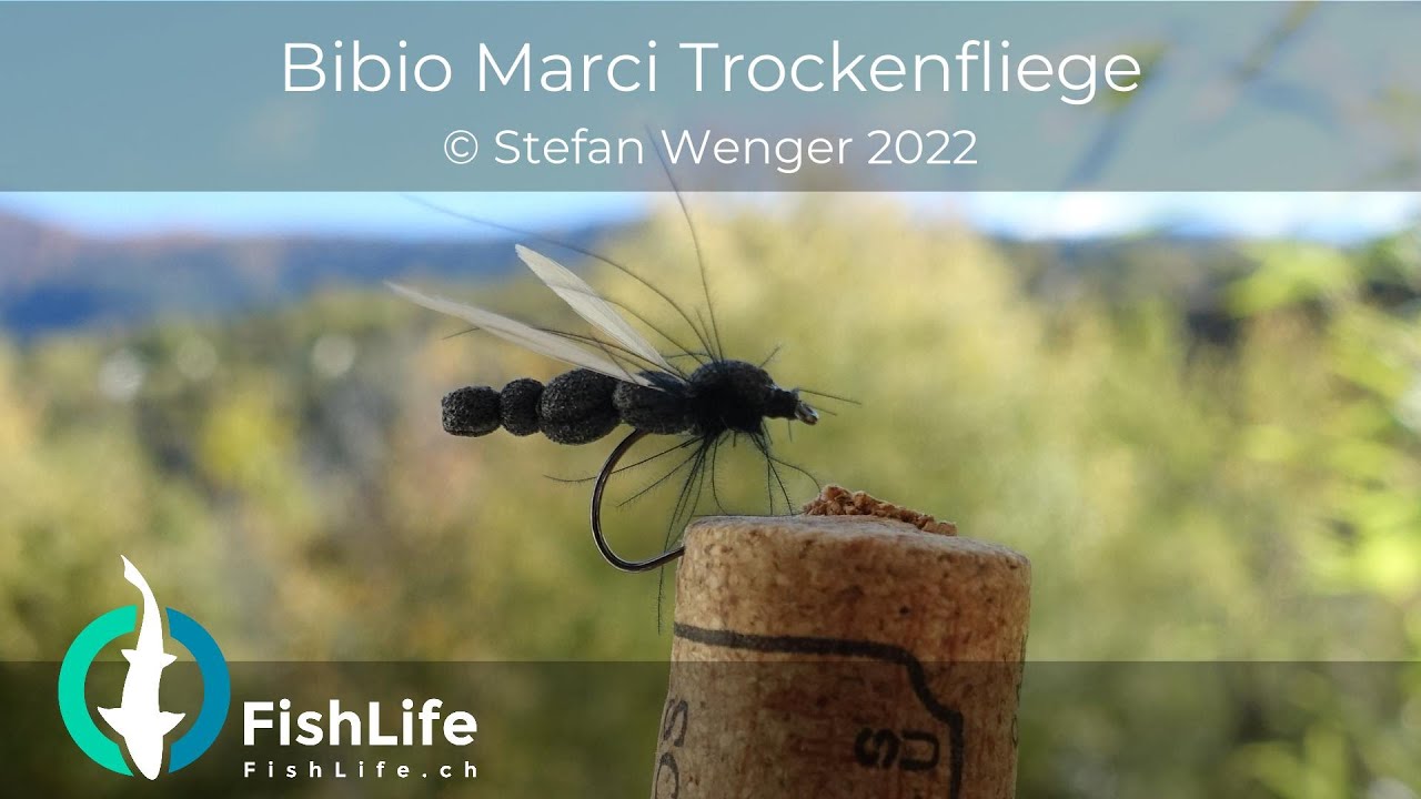 Bibio Marci 2022