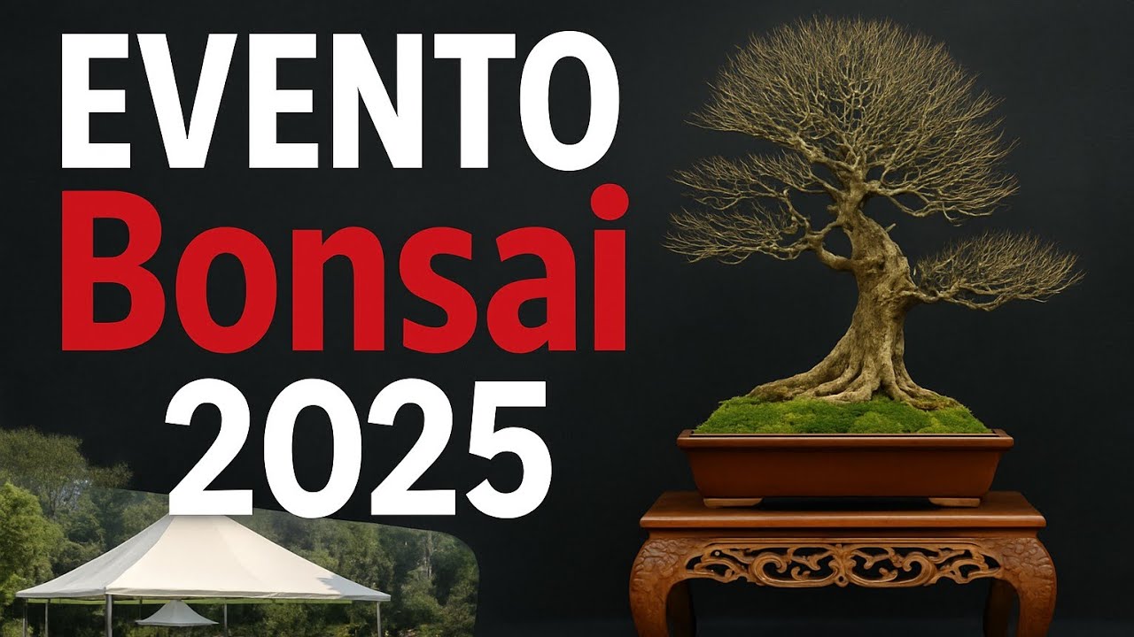 “Bonsai 2025 no Museu do Bonsai – Destaques e Particularidades do Evento”