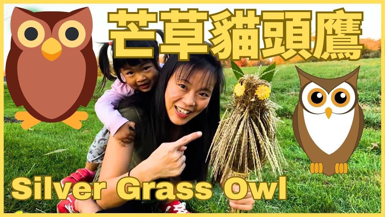 Arts & Crafts with Kids in Chinese 親子手作-貓頭鷹 🦉 | Experiential Chinese 親子生活共學中文 | Animal Chinese 動物中文