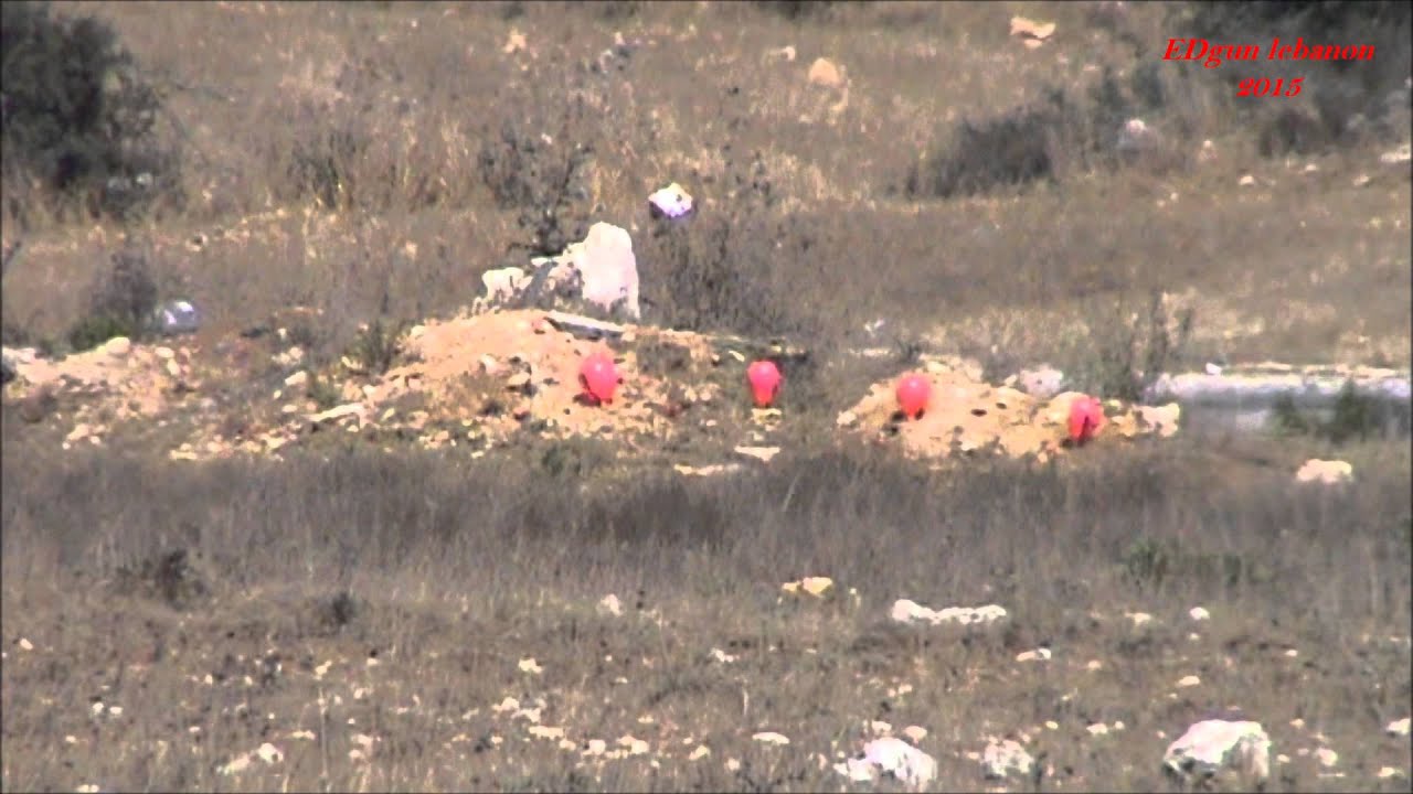 Edgun matador .25 long shooting at 205 meters