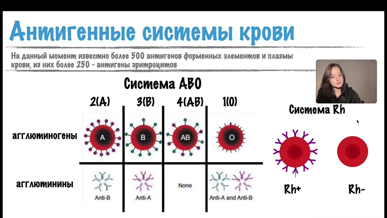 Система AB0 и резус-фактор