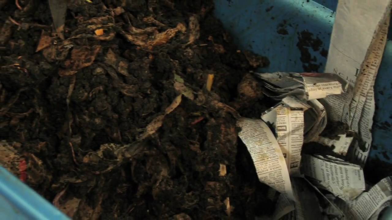 How to make an indoor composting bin