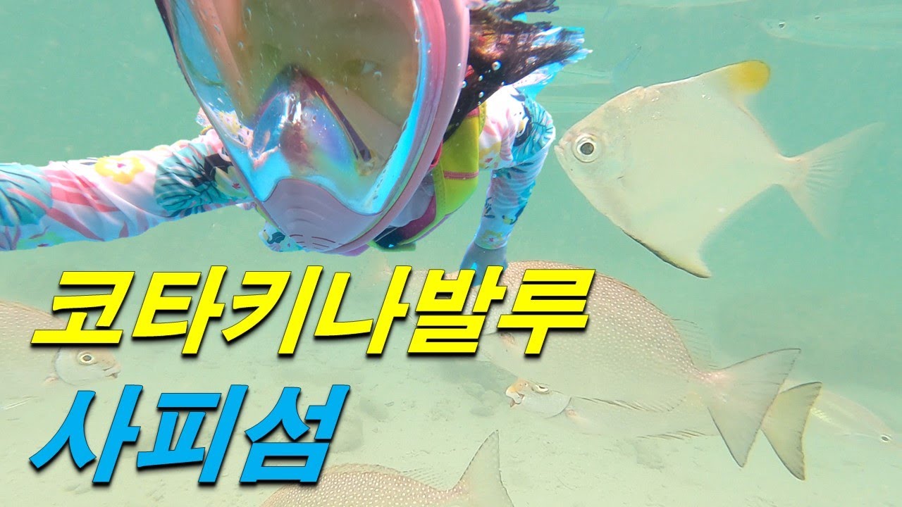 코타키나발루 여행 필수코스 '사피섬' 싸게 다녀오는 법 -말레이시아(8)🇲🇾