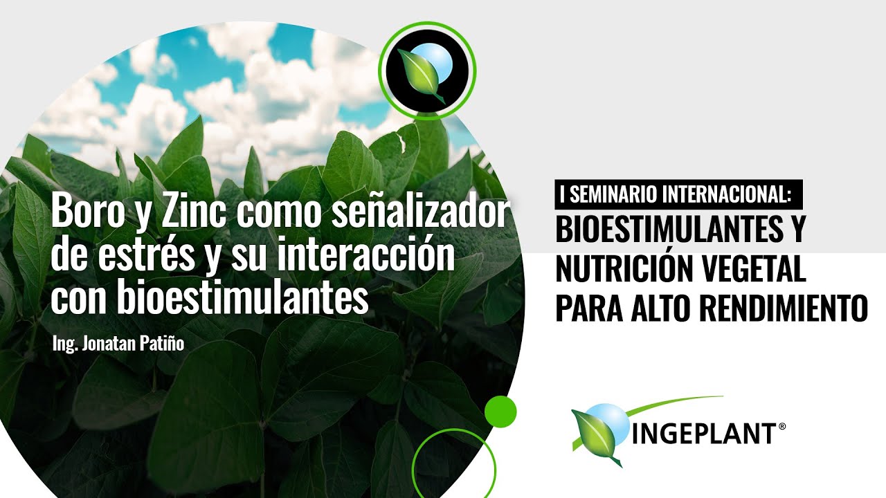 Boro y Zinc como señalizador de estrés y Bioestimulantes